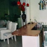 Copper Countertop 5